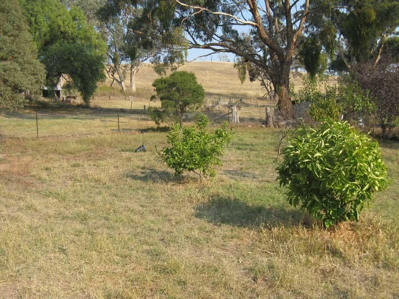 5155 Great Alpine Road, Ensay VIC 3895