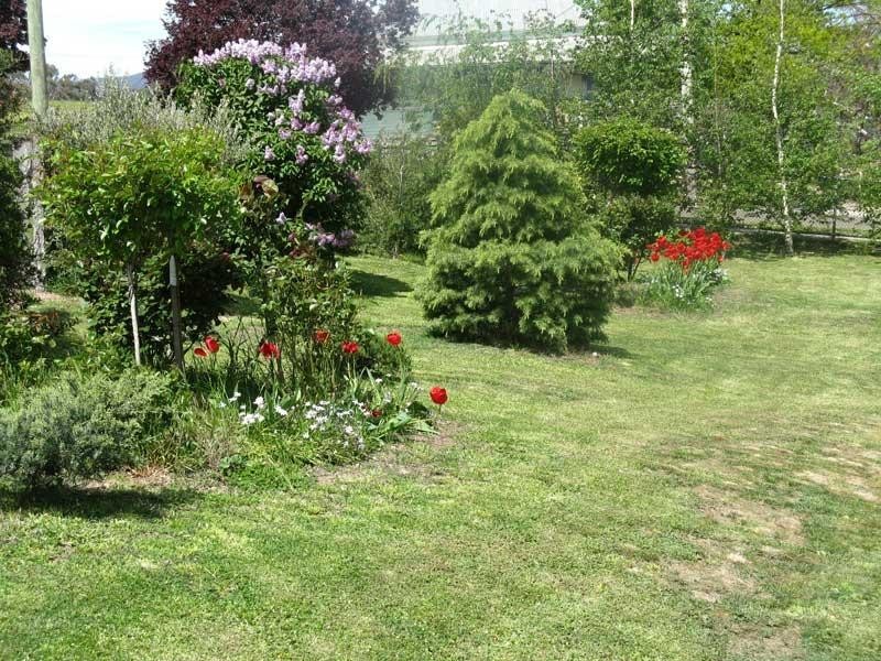 120 Day Avenue, Omeo VIC 3898