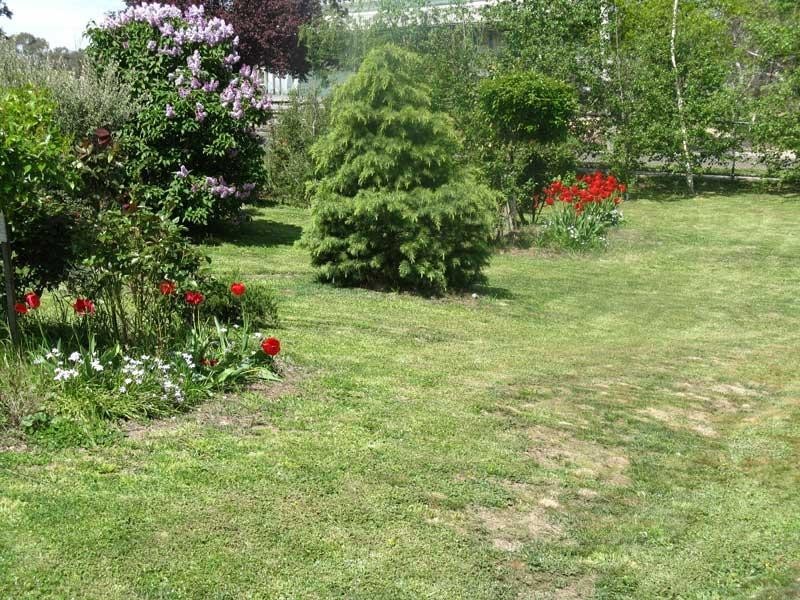 120 Day Avenue, Omeo VIC 3898