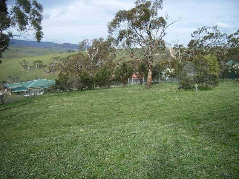 13 McCoy Street, Omeo VIC 3898