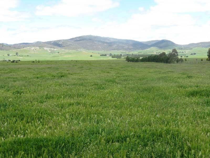 Lot 2/ “Morass 2& quot; Limestone Road, Benambra, Omeo VIC 3898
