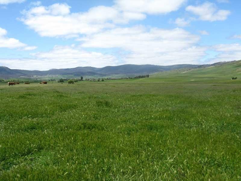 Lot 2/ “Morass 2& quot; Limestone Road, Benambra, Omeo VIC 3898