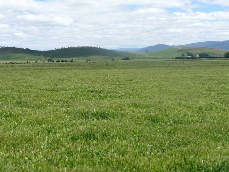 Lot 2/ “Morass 2& quot; Limestone Road, Benambra, Omeo VIC 3898