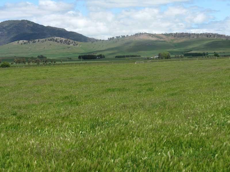 Lot 2/ “Morass 2& quot; Limestone Road, Benambra, Omeo VIC 3898