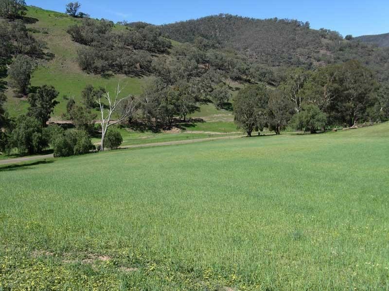 Lot 1/ Cassilis Road, Cassilis Via, Omeo VIC 3898