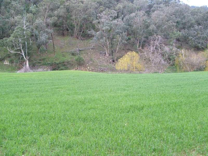 Lot 1/ Cassilis Road, Cassilis Via, Omeo VIC 3898