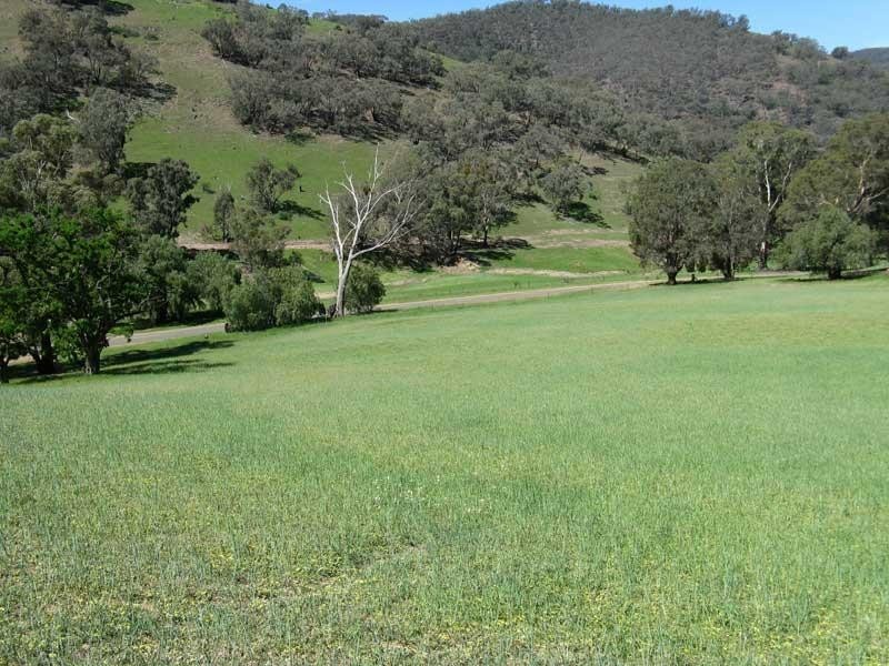 Lot 1/ Cassilis Road, Cassilis Via, Omeo VIC 3898