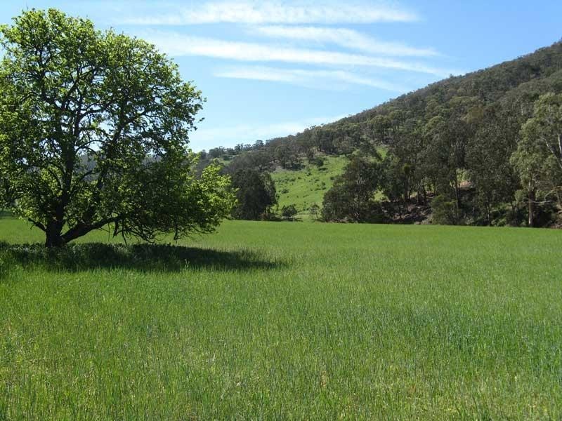 Lot 2/ Cassilis Road, Cassilis Via, Omeo VIC 3898