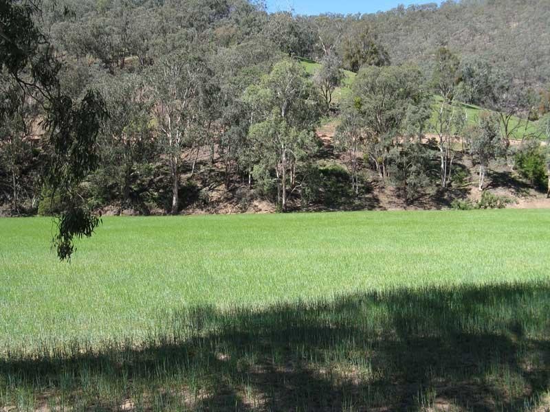 Lot 2/ Cassilis Road, Cassilis Via, Omeo VIC 3898