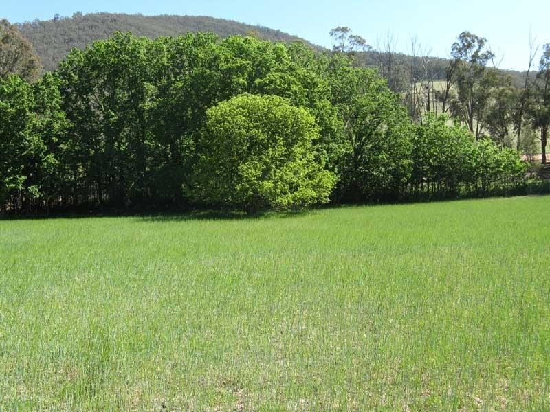 Lot 2/ Cassilis Road, Cassilis Via, Omeo VIC 3898
