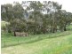Lot 2/ Great Alpine Road, Omeo VIC 3898