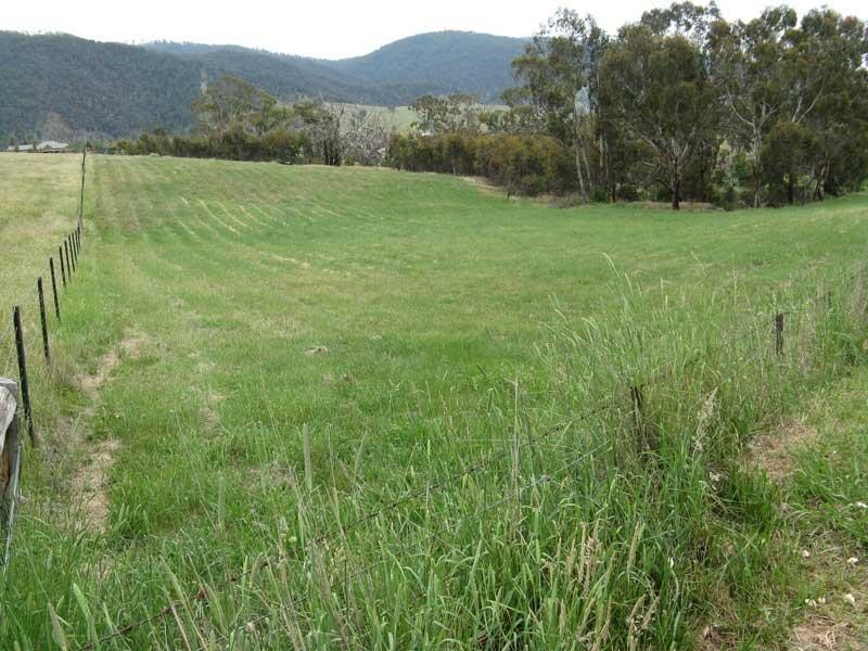 Lot 2/ Great Alpine Road, Omeo VIC 3898