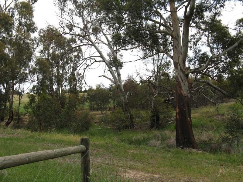 Lot 2/ Great Alpine Road, Omeo VIC 3898