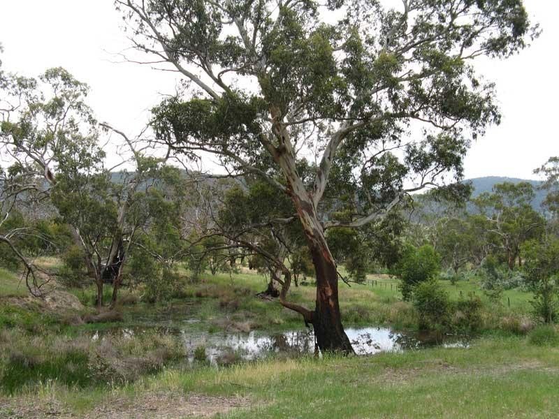 Lot 2/ Great Alpine Road, Omeo VIC 3898