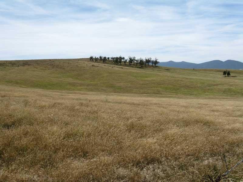 3 Fisters Lane, Benambra VIC 3900