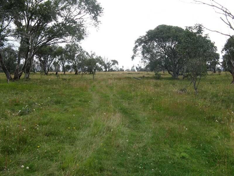 Lot 2/ Great Alpine Road, Dinner Plain VIC 3898