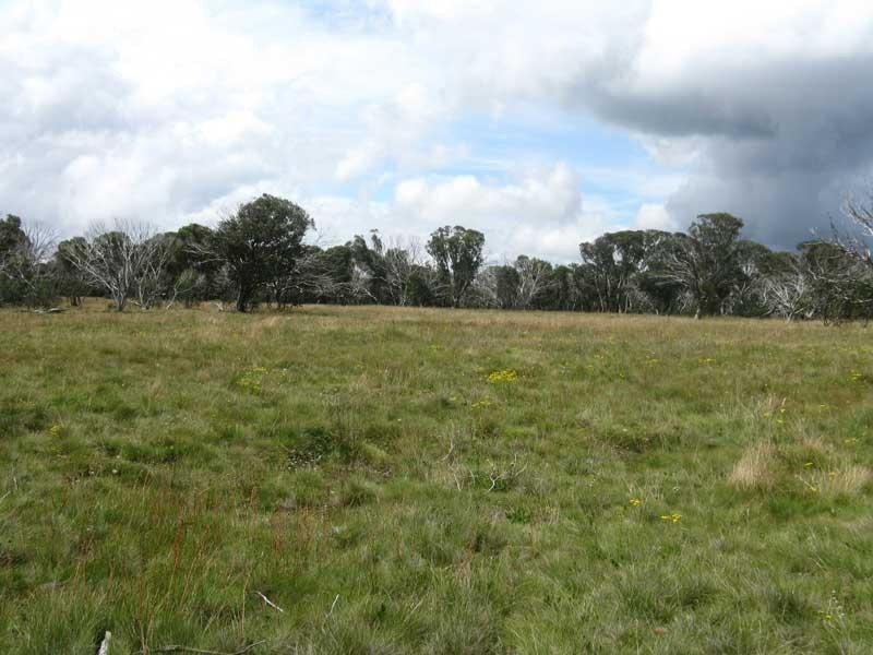 Lot 2/ Great Alpine Road, Dinner Plain VIC 3898