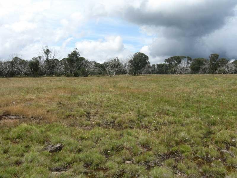 Lot 2/ Great Alpine Road, Dinner Plain VIC 3898
