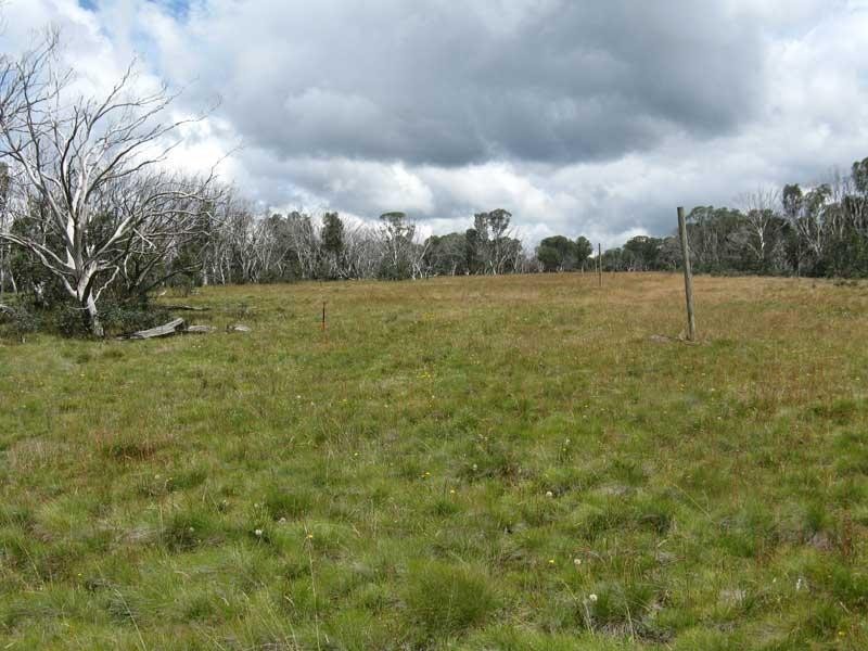 Lot 2/ Great Alpine Road, Dinner Plain VIC 3898