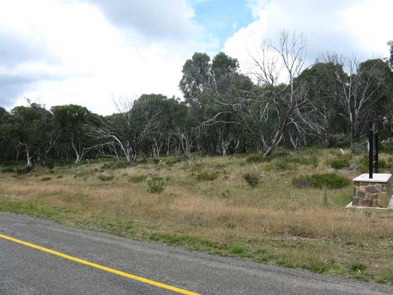 Lot 2/ Great Alpine Road, Dinner Plain VIC 3898