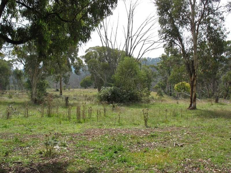 Lot 1/ Oakley’s Track, Benambra VIC 3900