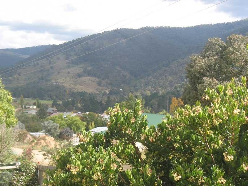 38 Sebastopol Hill Road, Omeo VIC 3898