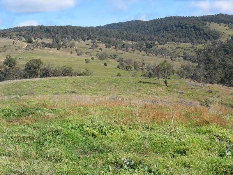 Lot 3/ Dry Gully Road, Omeo VIC 3898