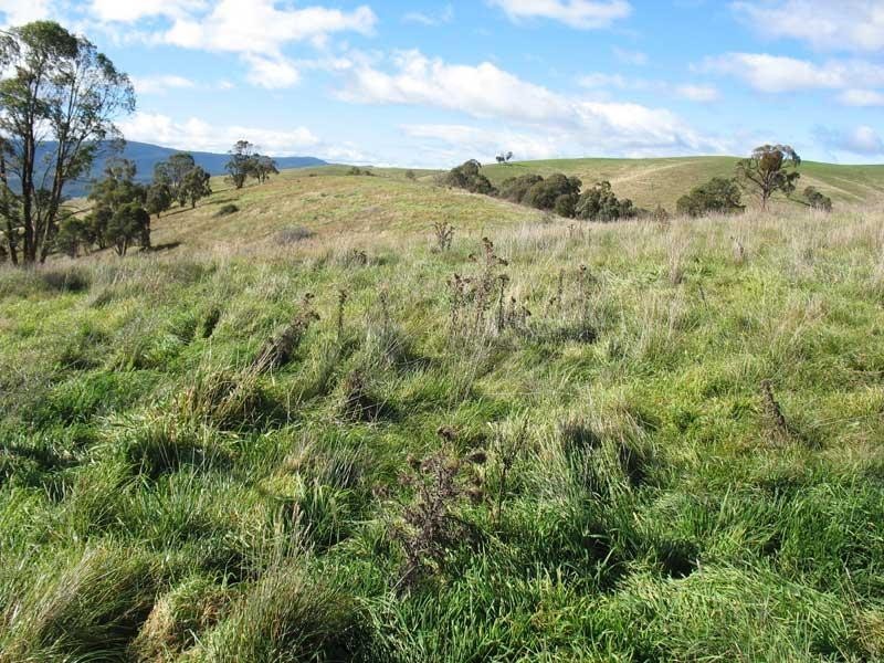 Lot 3/ Dry Gully Road, Omeo VIC 3898