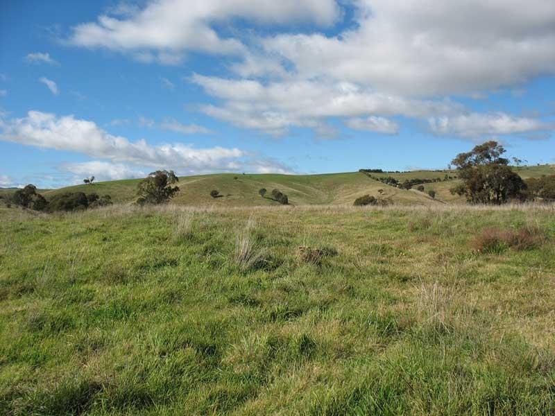 Lot 3/ Dry Gully Road, Omeo VIC 3898