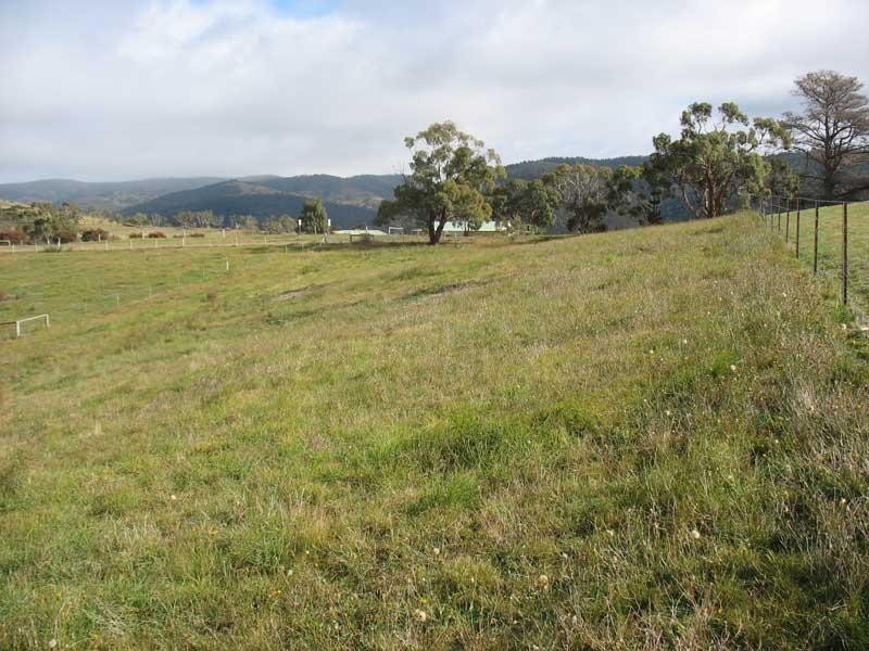 103 Sebastopol Hill Road, Omeo VIC 3898