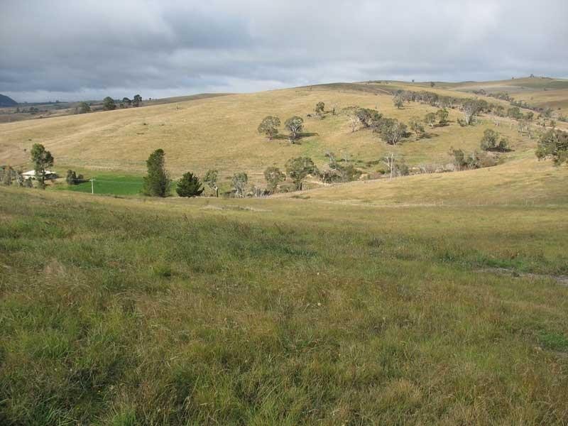 103 Sebastopol Hill Road, Omeo VIC 3898