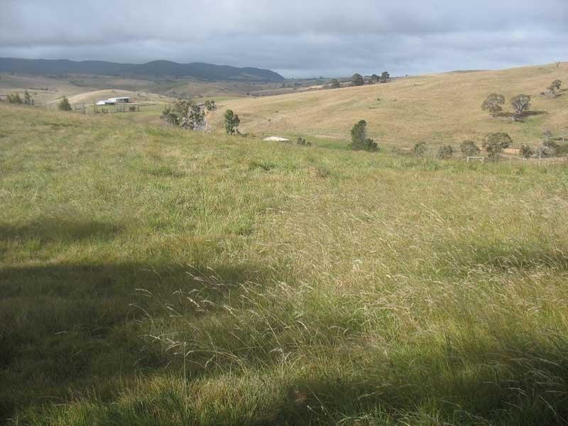 103 Sebastopol Hill Road, Omeo VIC 3898