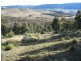 Lot 1/ Kangaroo Track, Omeo VIC 3898