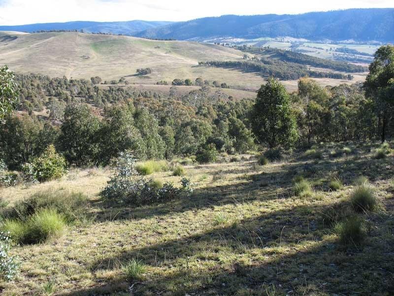 Lot 1/ Kangaroo Track, Omeo VIC 3898
