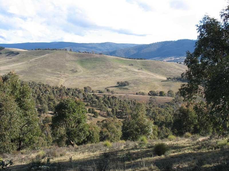 Lot 1/ Kangaroo Track, Omeo VIC 3898