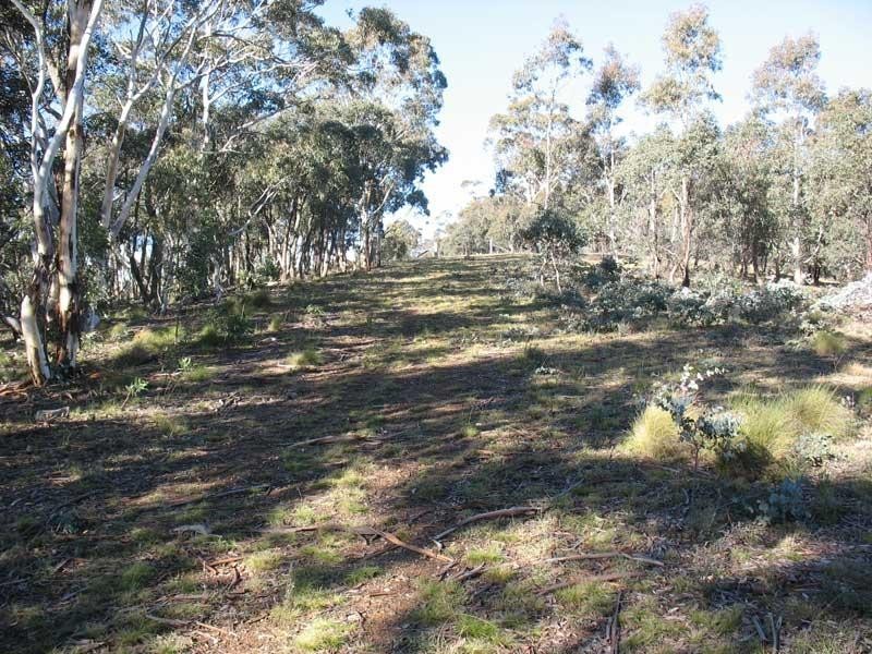 Lot 1/ Kangaroo Track, Omeo VIC 3898