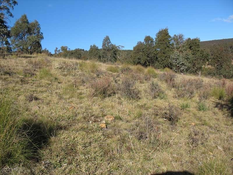 Lot 1/ Kangaroo Track, Omeo VIC 3898