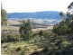 Lot 1/ Kangaroo Track, Omeo VIC 3898
