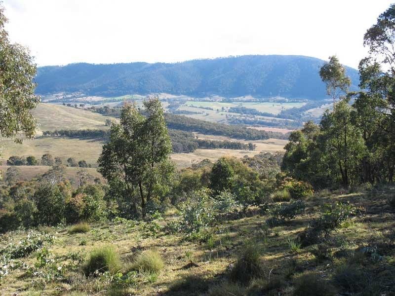 Lot 1/ Kangaroo Track, Omeo VIC 3898