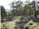 Lot 1/ Kangaroo Track, Omeo VIC 3898