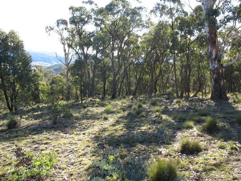 Lot 1/ Kangaroo Track, Omeo VIC 3898
