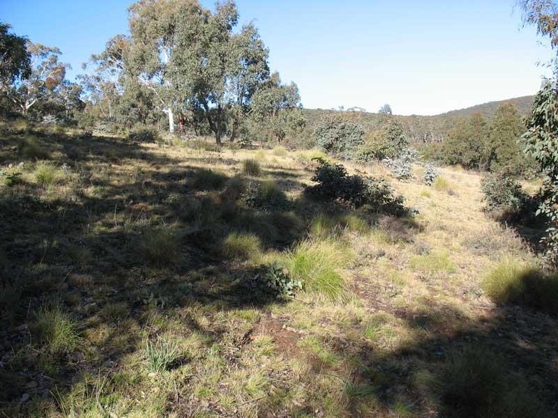 Lot 1/ Kangaroo Track, Omeo VIC 3898