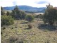 Lot 2/ Kangaroo Track, Omeo VIC 3898