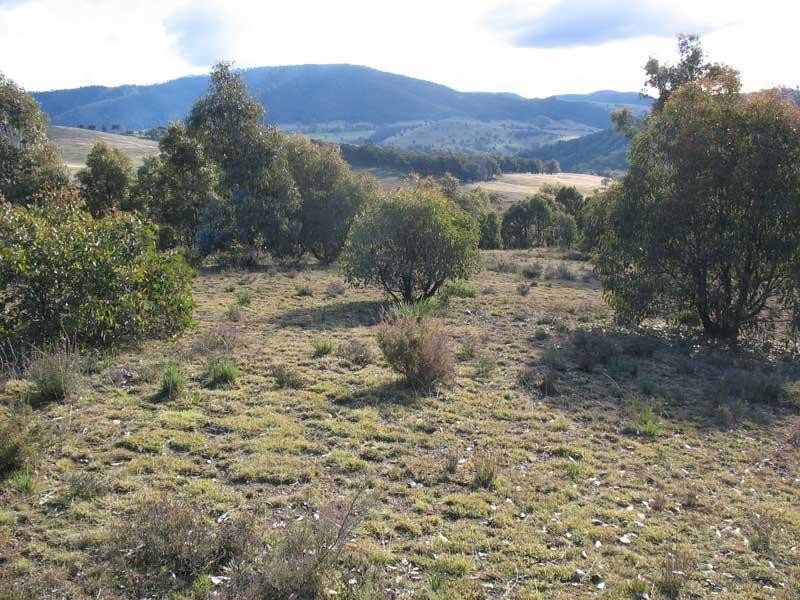 Lot 2/ Kangaroo Track, Omeo VIC 3898