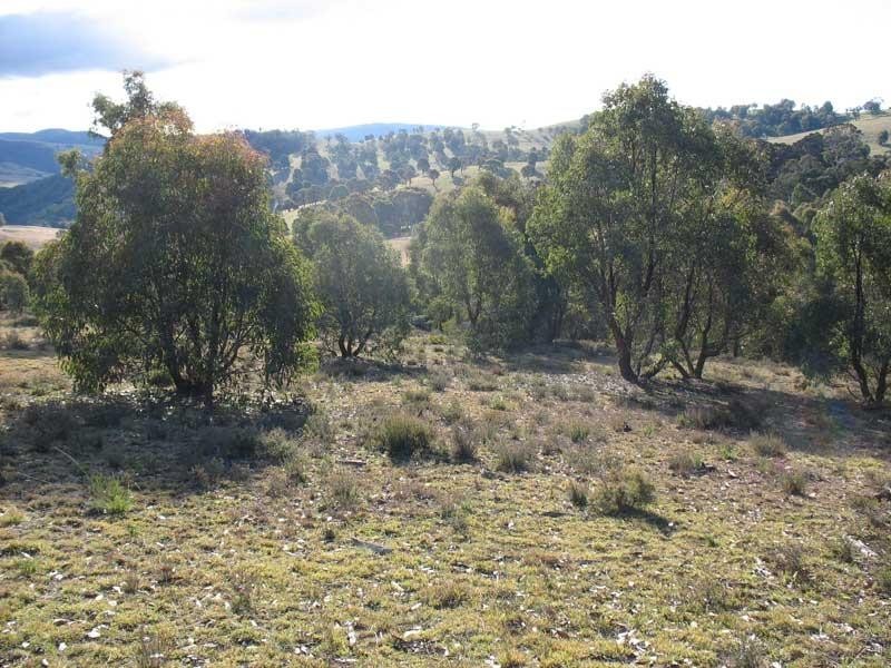 Lot 2/ Kangaroo Track, Omeo VIC 3898