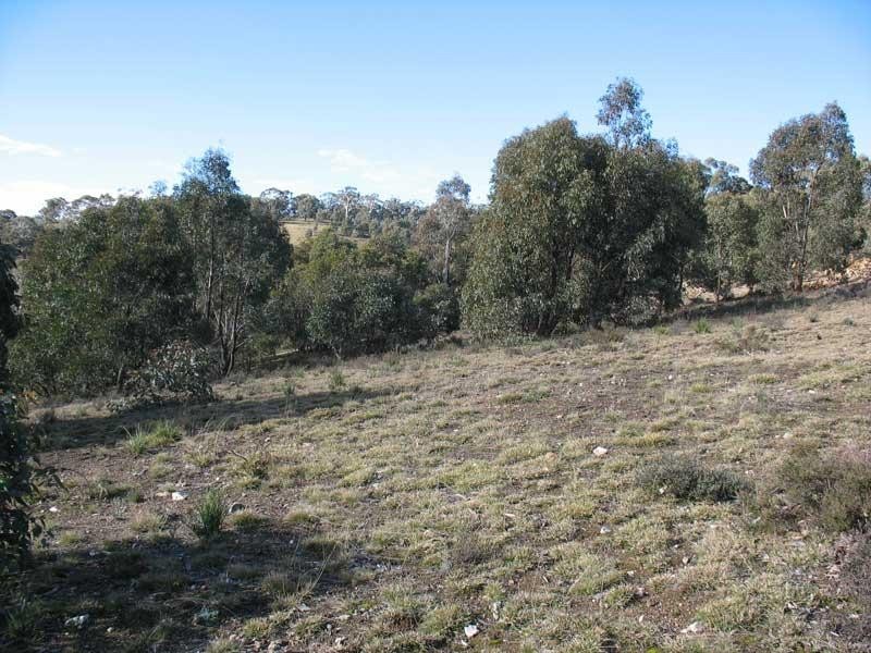 Lot 2/ Kangaroo Track, Omeo VIC 3898