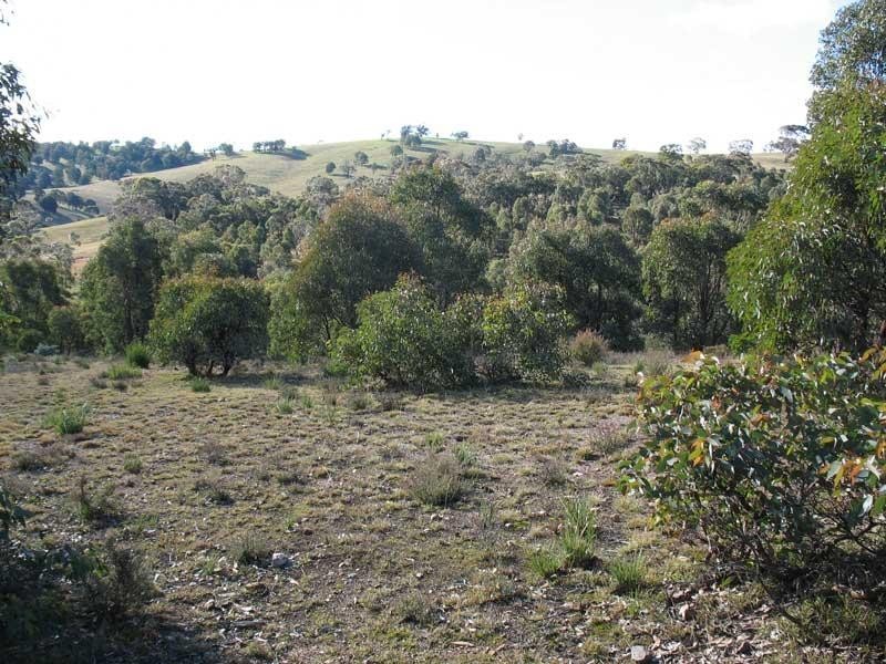 Lot 2/ Kangaroo Track, Omeo VIC 3898