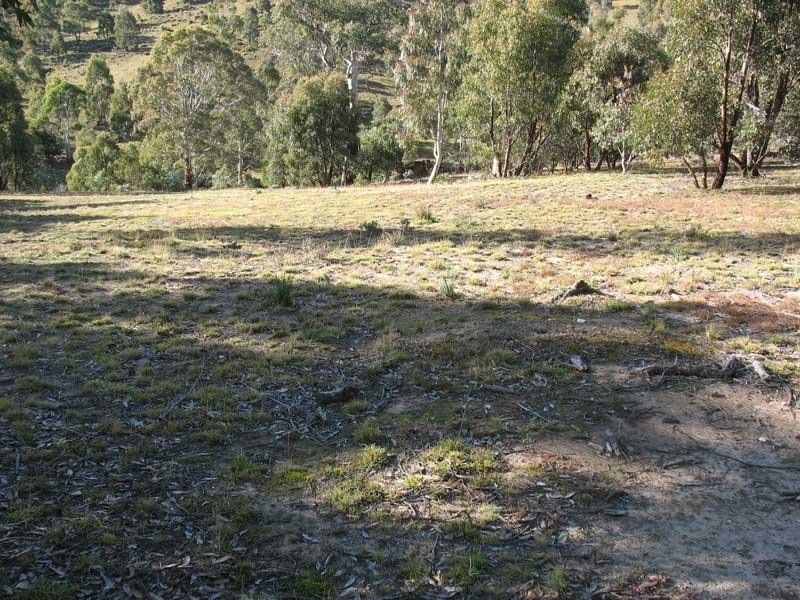Lot 2/ Kangaroo Track, Omeo VIC 3898