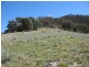 Lot 4/ Bindi Road Bindi via, Omeo VIC 3898
