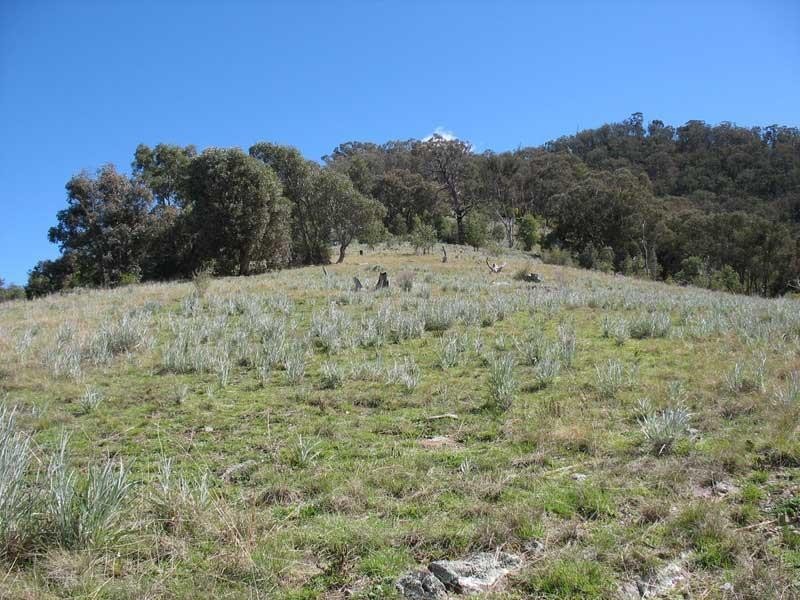 Lot 4/ Bindi Road Bindi via, Omeo VIC 3898